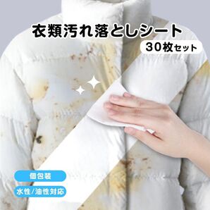衣類用 汚れ落とし ウェットシート 30枚入 個包装 携帯用 使い捨て シミ抜き 水性/油汚れ 繊維を傷めない 水不要 外出 応