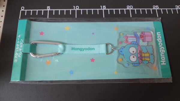 サンリオ サンリオくじ アクリルチャーム ハンギョドン