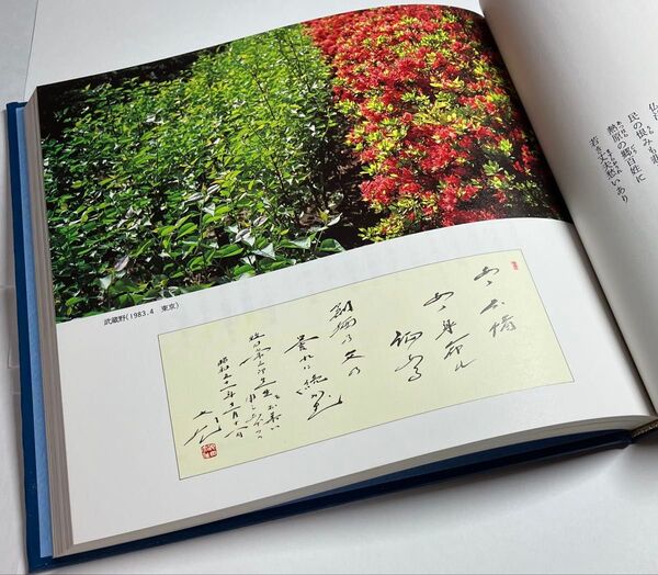 「青年の譜」詩と贈言 池田大作先生著 1983年(昭和58年)発刊 初版第4刷 ハードカバー 美品 創価学会 希少 絶版