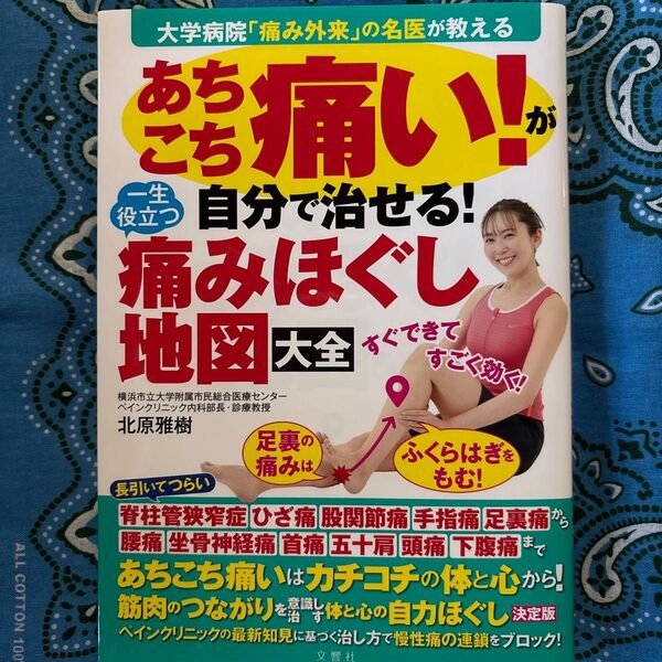 あちこち痛い!が自分で治せる!一生役立つ痛みほぐし地図大全 北原雅樹/著 伯母治/運動療法指導 浅枝まり子/心理療法指導