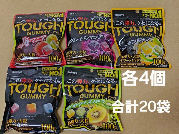 Kabaya TOUGH GUMMY カバヤ タフグミ 20袋セット
