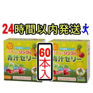 パインとリンゴの青汁ゼリー 賞味期限2026年4月 青汁ゼリー 合計60本 ショップチャンネル