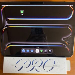 ipad pro M4 11インチ Wi-Fiモデル 256GB applepencil付き 一括購入 「箱は付いてきません」