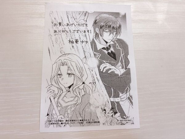 捨てられた令嬢は、いつの間にかに拾われる ~隣国で王太子に溺愛されてます〜 特典