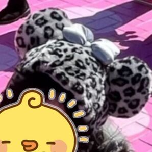 ファンキャップ ヒョウ柄 グレー