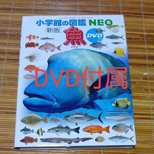 魚 (小学館の図鑑NEO 4) (新版) 井田齊/監修・執筆 松浦啓一/監修・執筆 藍澤正宏/ほか指導・執筆 松沢陽士/ほか撮影