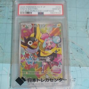 ナンジャモのカイデン PSA10