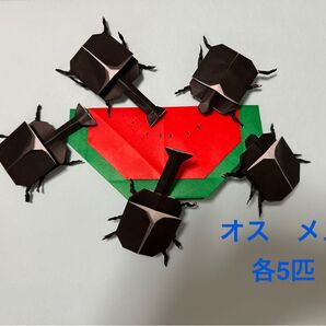 カブトムシ