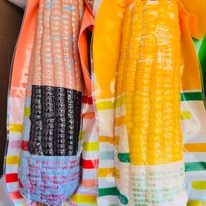 賞味期限更新★新入荷♪糯とうもろこし軸付き【黄20本と黒20本】40本入り1ケース もち糯玉米棒