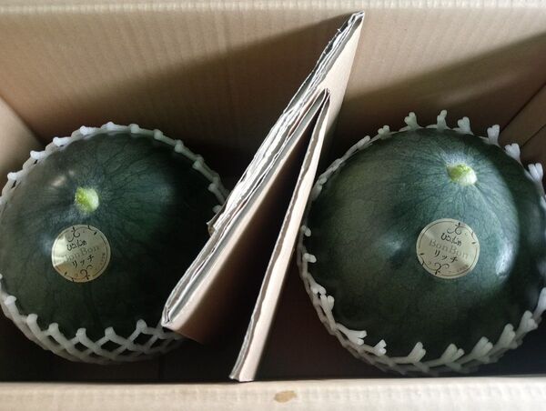 黒小玉西瓜2玉入り
