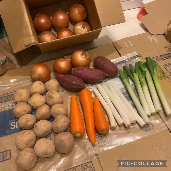 即買い歓迎!野菜詰め合わせ80サイズ!