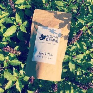 【2025年新茶】トゥルシー茶 15g ホーリーバジル