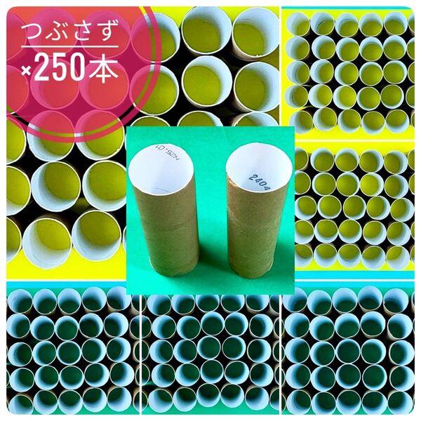 【250本】【つぶさず梱包】 トイレットペーパー芯 のみ 紙筒 紙管 空き芯 無漂白 茶 白 夏休み自由研究 【まとめ割】