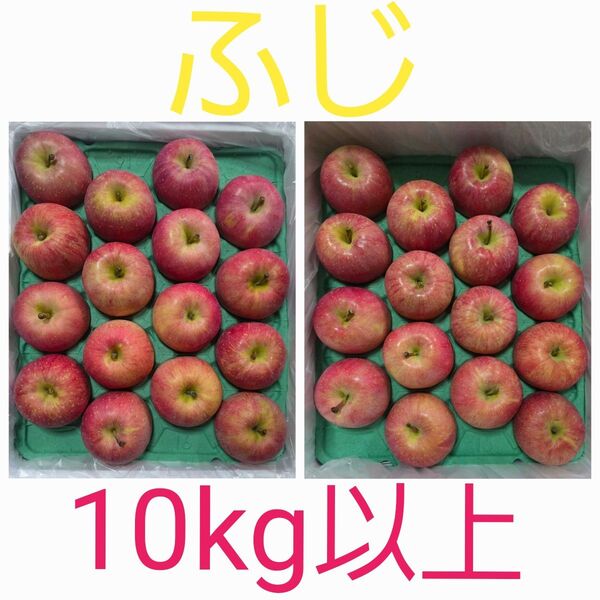 青森県産 りんご ふじ 1箱二段 32個入り