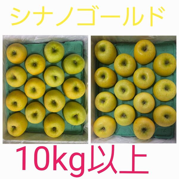 青森県産 りんご シナノゴールド 1箱二段 28個入り