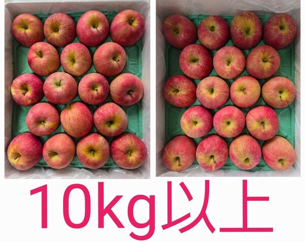 青森県産 りんご ふじ 1箱二段 36個入り