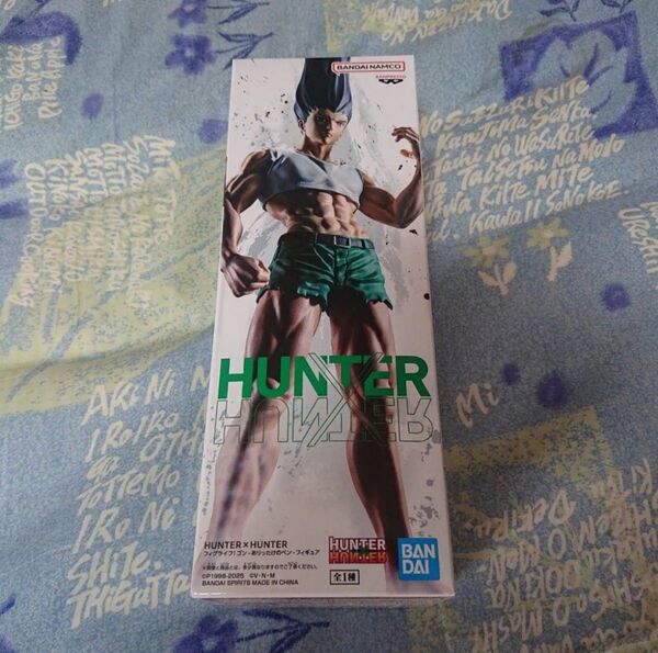 HUNTER×HUNTER ゴン ありったけのペン フィグライフ