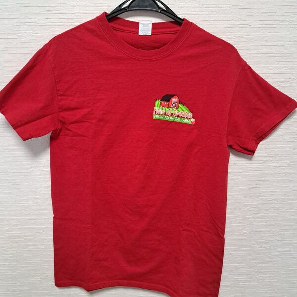 アメリカ古着 メンズT ギルダン GILDAN 半袖Tシャツ Sサイズ