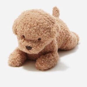ジェラピケ トイプードル ぬいぐるみ