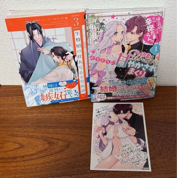 生贄娘の壮大なる夫育成譚 3 / 幼妻はオトナな陛下にとろとろに甘やかされまくり 1