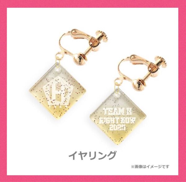 チャン・グンソク 「TEAM H RIGHT NOW 2025」Still in my dream GOODS イヤリング 新品