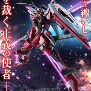 METAL ROBOT魂インフィニットジャスティスガンダム弐式