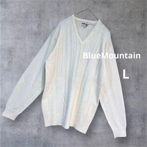 *BlueMountain*Vネックニット セーター ケーブル編み クリーム L メンズ トップス