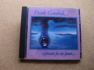 ＊Frank Gambale／A Present For The Future（1002-B）（輸入盤）