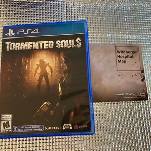 Tormented Souls 輸入版 北米 PS4