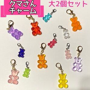 2個セット♪ 大セット クマさん チャーム グミ 新色追加 推し色