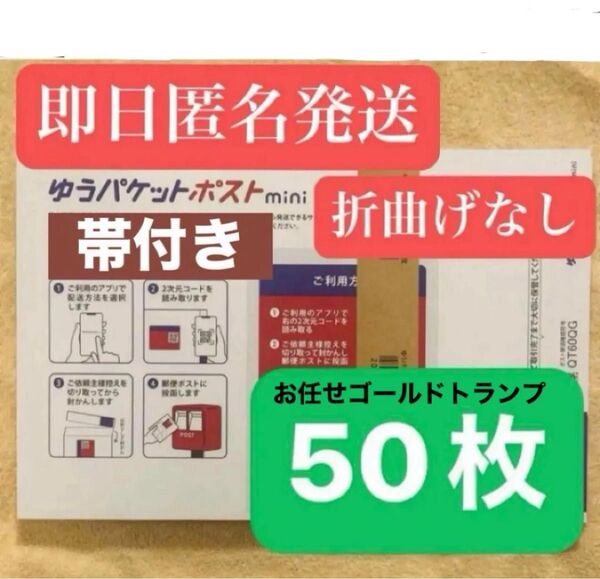 ゆうパケットポストmini 封筒 ゆうパケットポストミニ 50枚セット + ヘアゴム