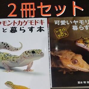 『ヤモリ(ヒョウモントカゲモドキ)の本』《2冊セット》【アクアライフの本】