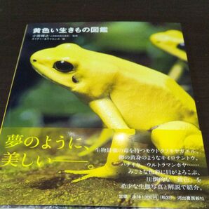 『黄色い生きもの図鑑 』