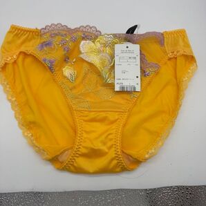 女性用下着 ショーツ ワコールwacoal サルート salute Lサイズ