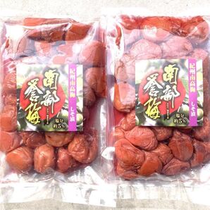 2【訳あり品 つぶれ梅 満足の大容量 900g 紀州南高梅 しそ漬け梅 塩分5% 和歌山】梅干し 梅 梅干 漬物