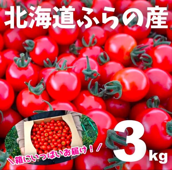 【精品】北海道富良野産ミニトマト3kg