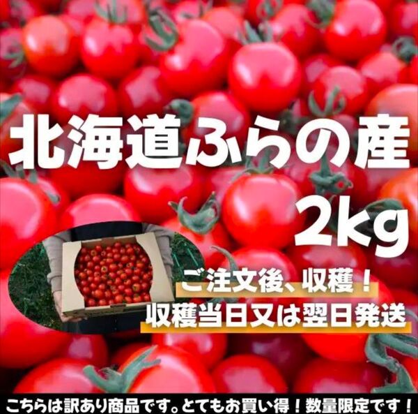 北海道ふらの産ミニトマト2kg【訳あり】