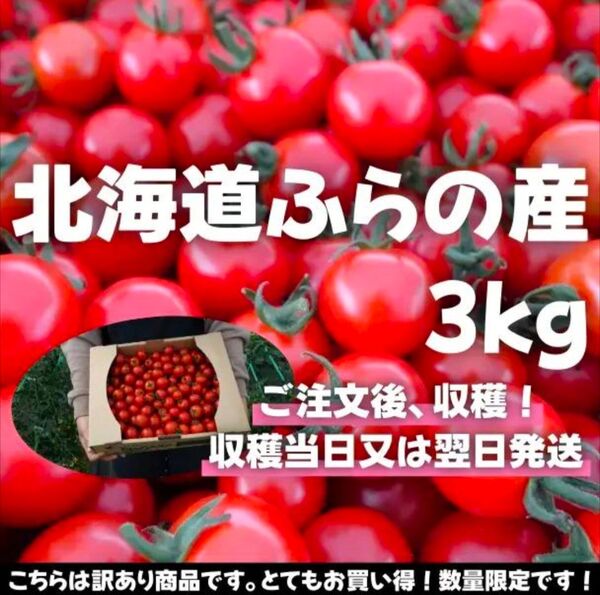北海道富良野産ミニトマト3kg【訳あり】