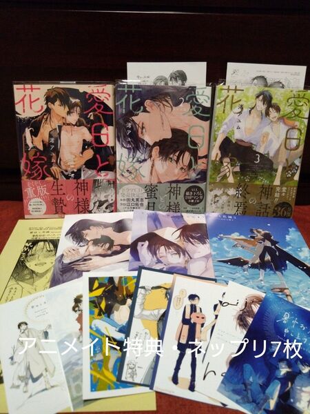 渚アユム【愛日と花嫁 1巻・2巻限定版・3巻】アニメイト限定小冊子・ペーパー・ネップリ7枚セット