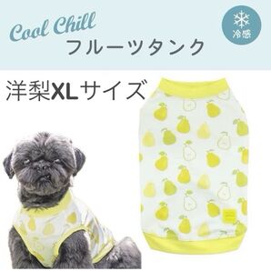 【極美品】アイドッグ iDog COOL Chill クールチル接触冷感 洋梨 犬服 ドッグウェア