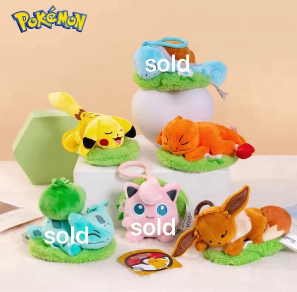 ポケットモンスター ポケモン ぬいぐるみ 正規品 ぬいぐるみマスコット 中国限定 ピカチュウ イーブイ ヒトカゲ