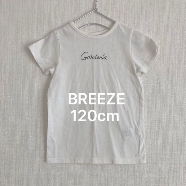 【BREEZE/120cm】Tシャツ オフホワイト 小さめ