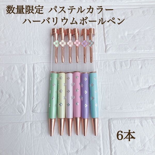 数量限定 ハーバリウムボールペン パステルカラー 6色 6本 お花クリップ ハンドメイド素材 ゆめかわ