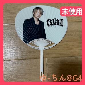【梱包済・即日発送】【未使用】GLAY HAPPY SWING ミニうちわ TERU