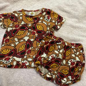 ヒスミニ 旧テディ ブラウン