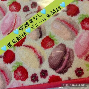 ◆ビニール未開封◆フェイラー ハンカチ マカロン柄