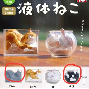 ガチャガチャ 液体ねこ ミニチュア フィギュア ねこ グレー 黒白