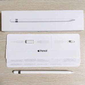 Apple Pencil 第1世代 ジャンク