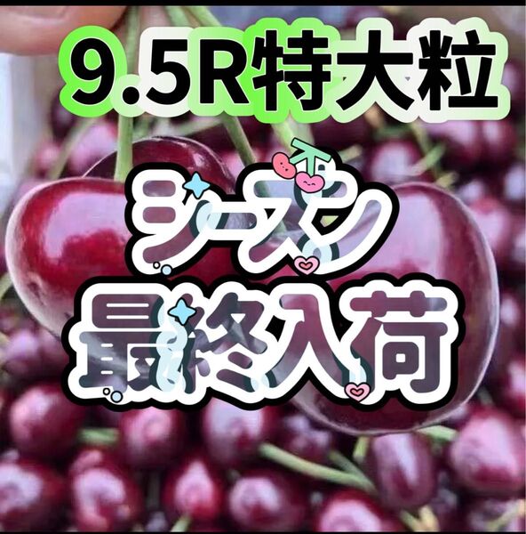 ワシントン州産 高糖度 プレミアムチェリー アメリカンチェリー さくらんぼ チェリー 箱込み1kg