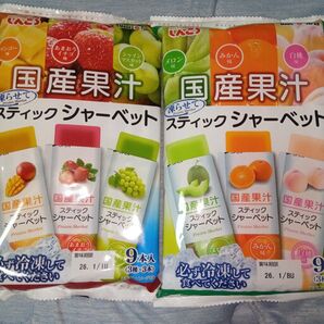 国産果汁 しんこう 凍らせてスティックシャーベット 2袋